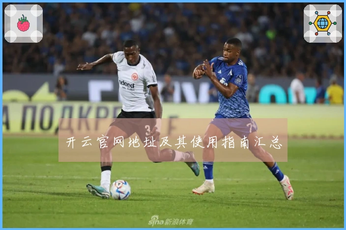 开云官网地址及其使用指南汇总