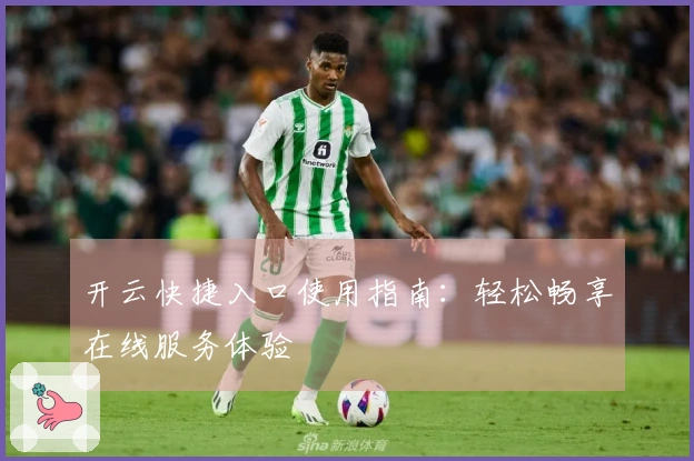 开云快捷入口使用指南：轻松畅享在线服务体验