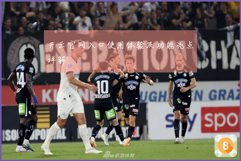 开云官网入口使用体验及功能亮点详解